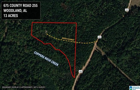 LAND - WOODLAND, AL