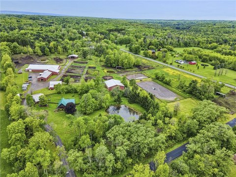 Equine Center Near Cornell University