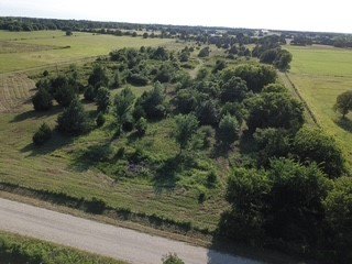 Picture 4