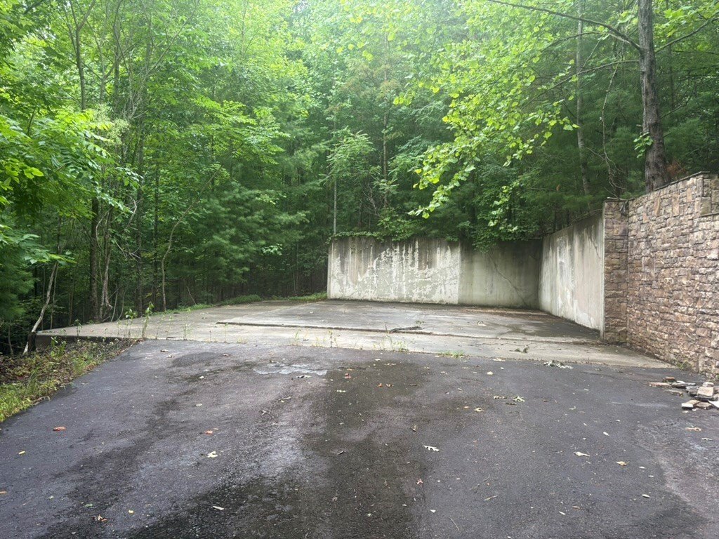 Picture 4
