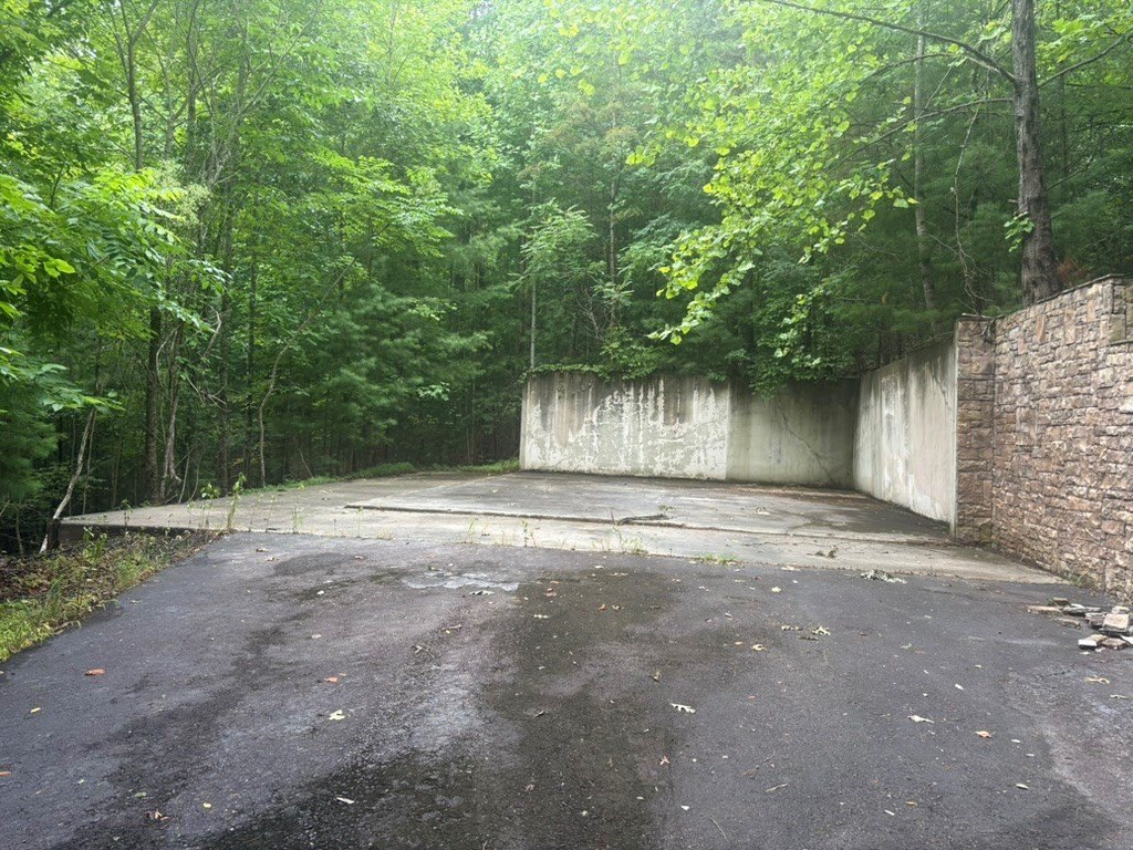 Picture 9