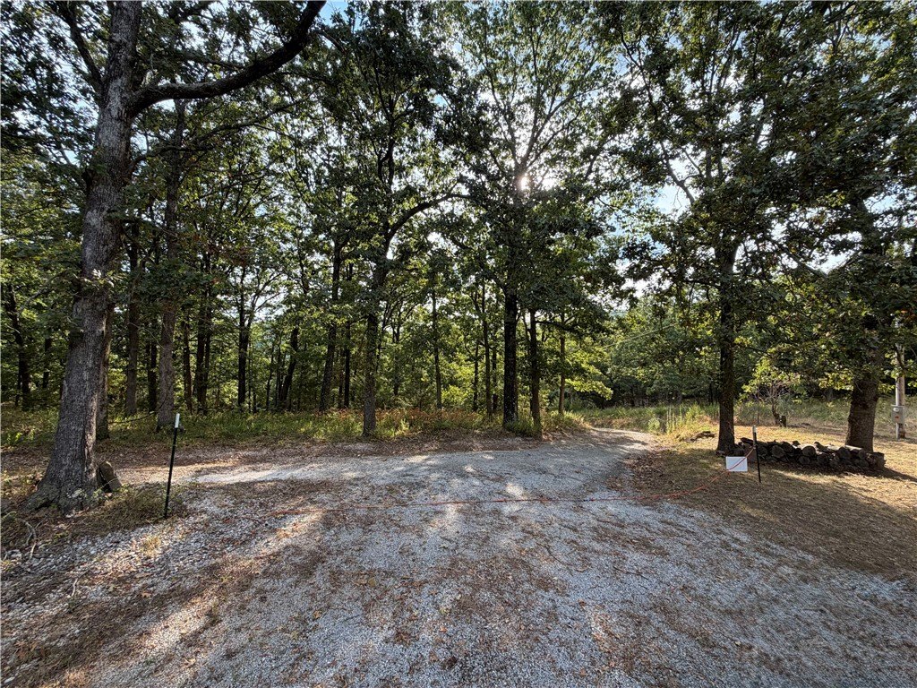 Picture 25