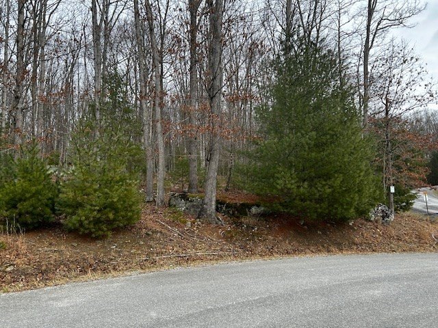 Picture 8