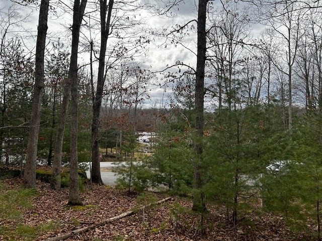 Picture 6
