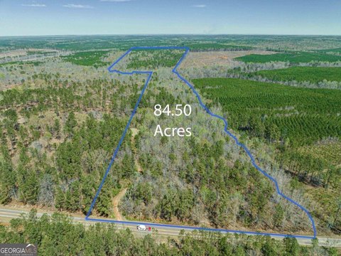 84.5 Acres of Hunting Land