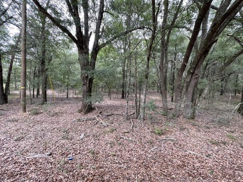 Land, Salley, SC