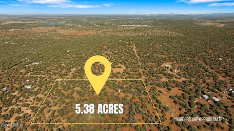 Heavily Treed Land in Show Low
