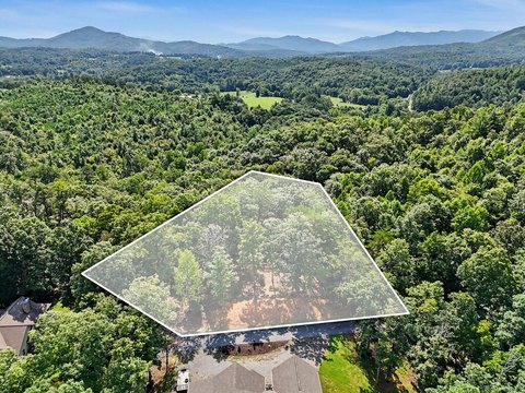 LAND - Warne, NC