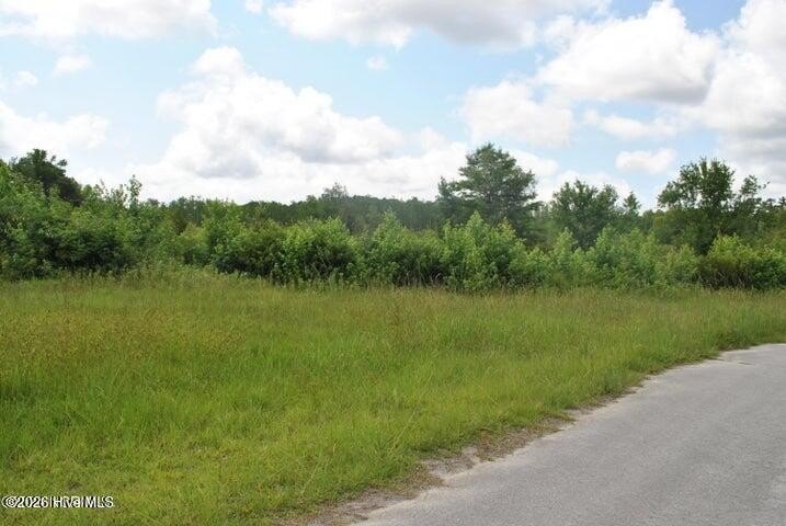 Vacant Lot in Ash, NC