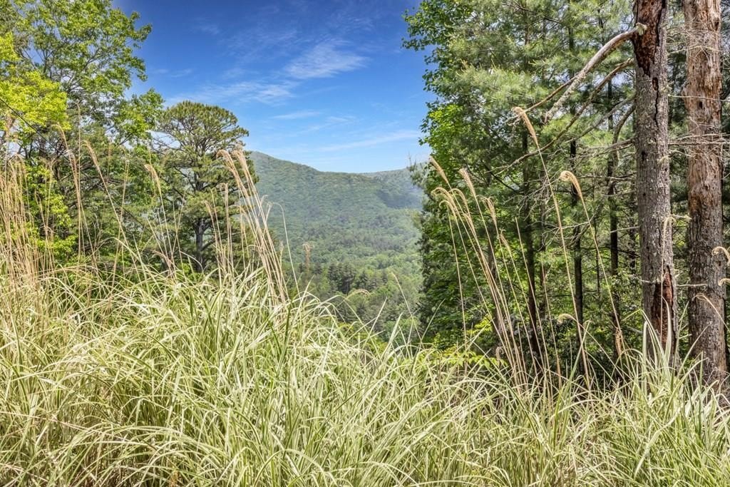 98+ Acres in North Georgia