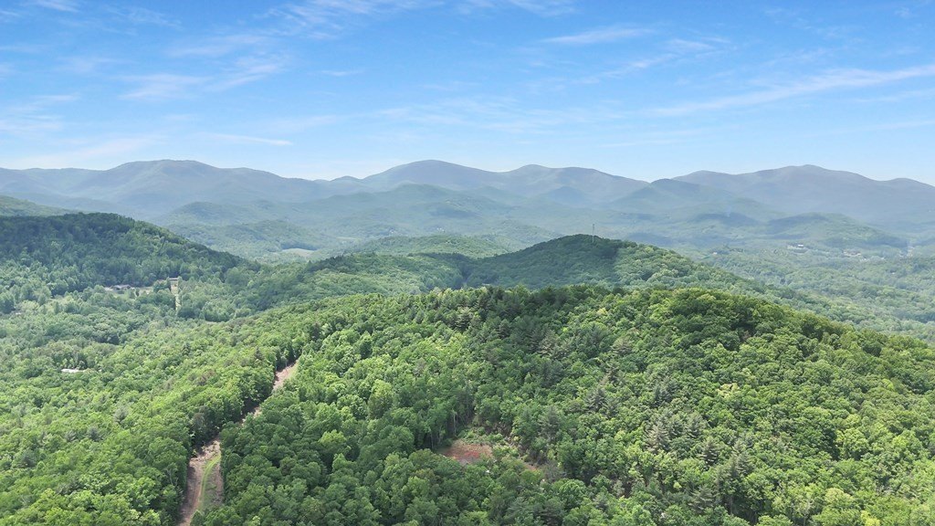 Picture 37
