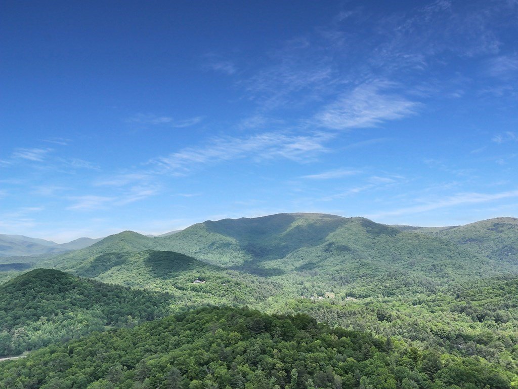 Picture 41