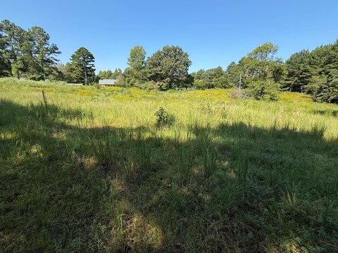 Land and Lots, Florence, AL
