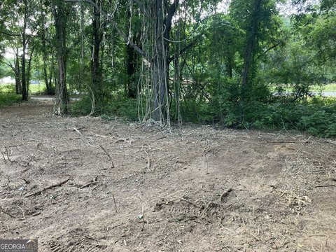 Land, Warm Springs, GA