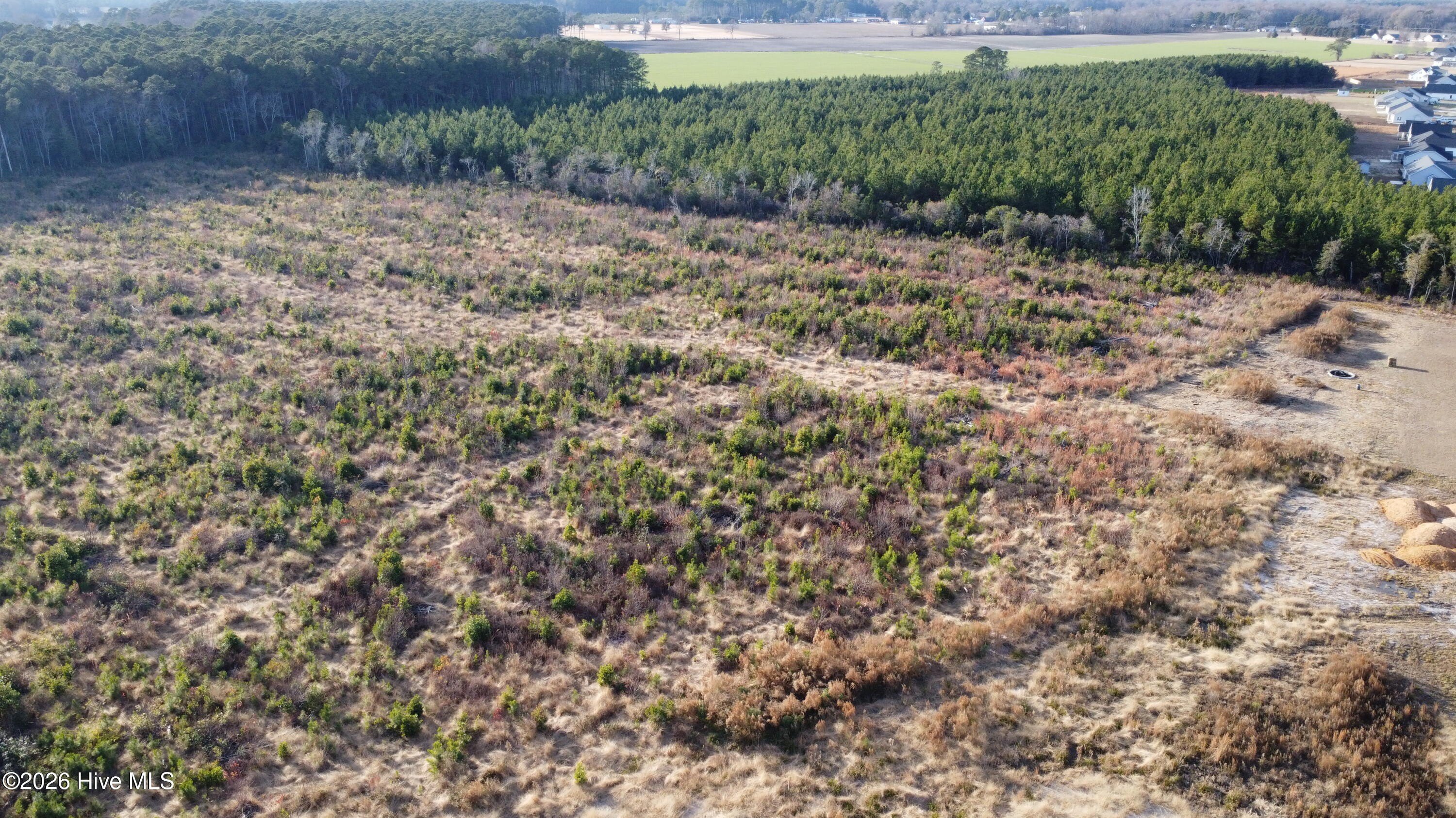 Cleared Acres in Talton Estates