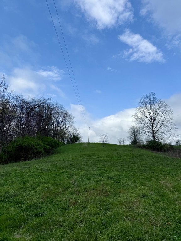 Picture 13