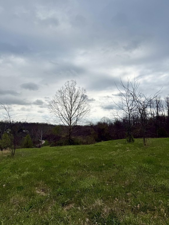 Picture 8