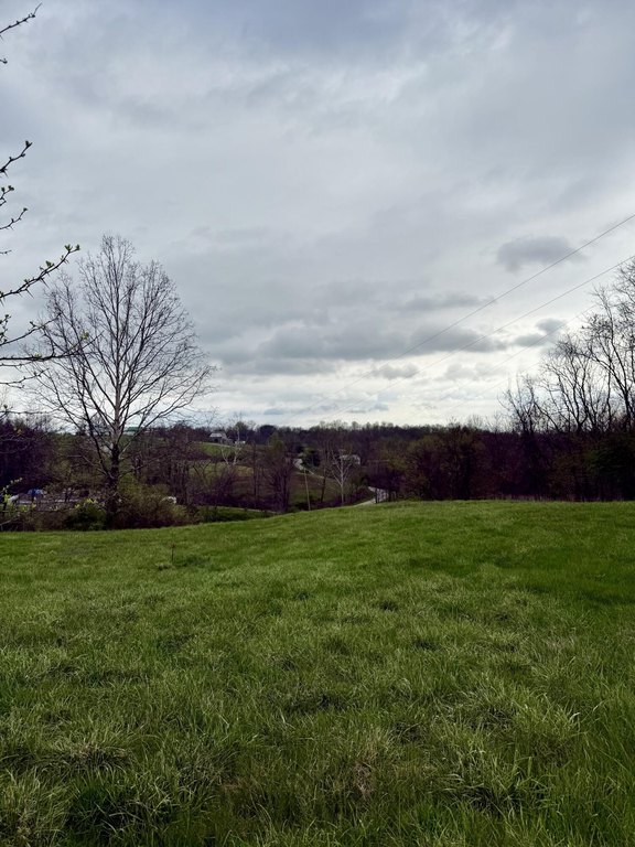 Picture 9