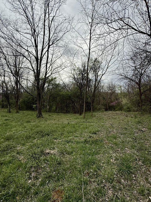 Picture 12