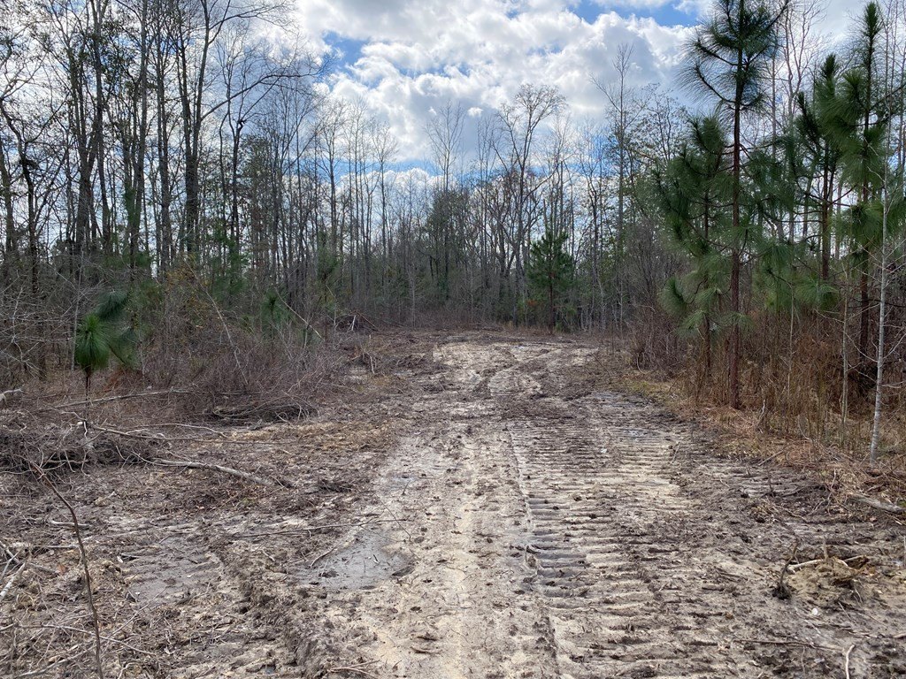 Picture 2