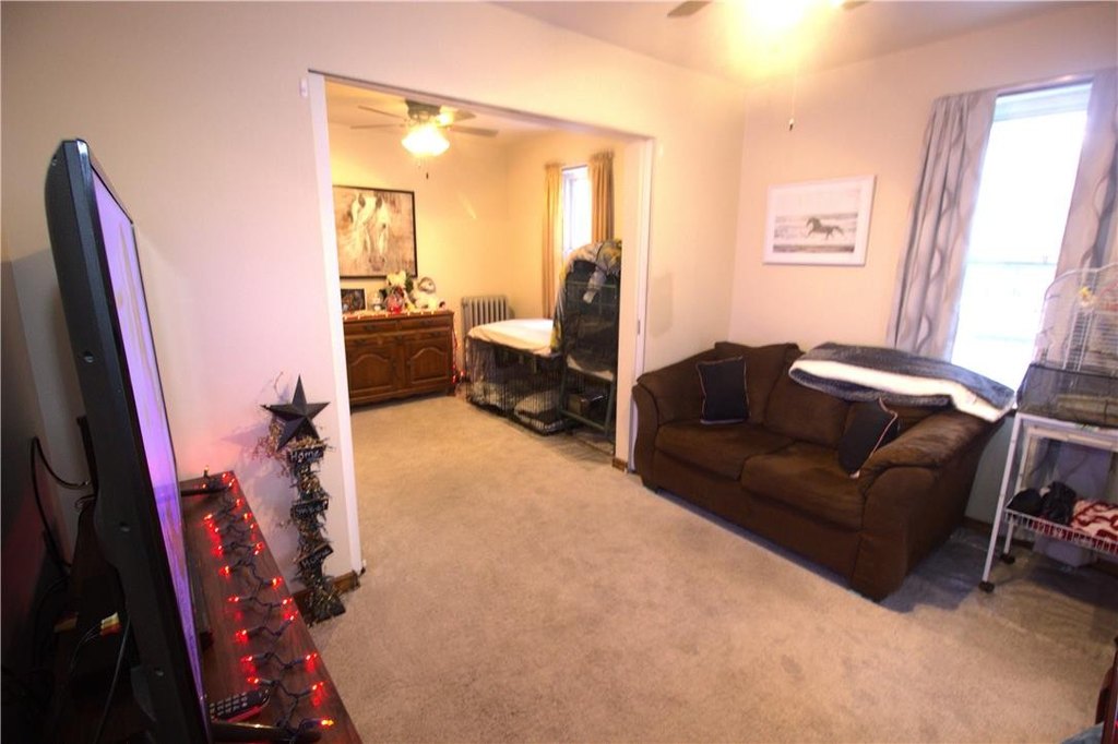Picture 12