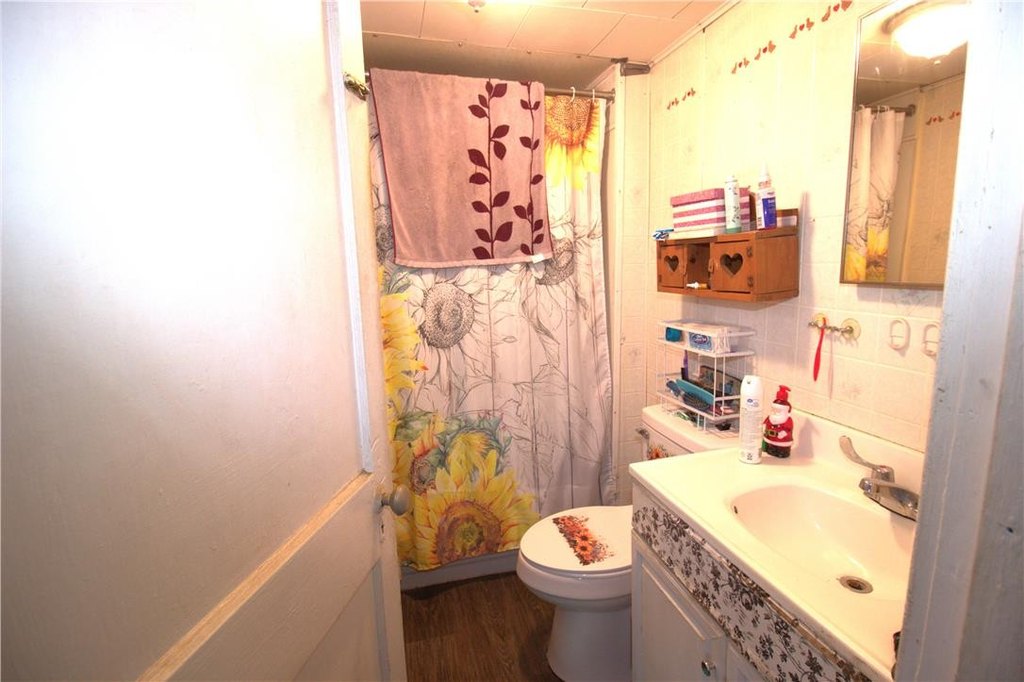 Picture 5