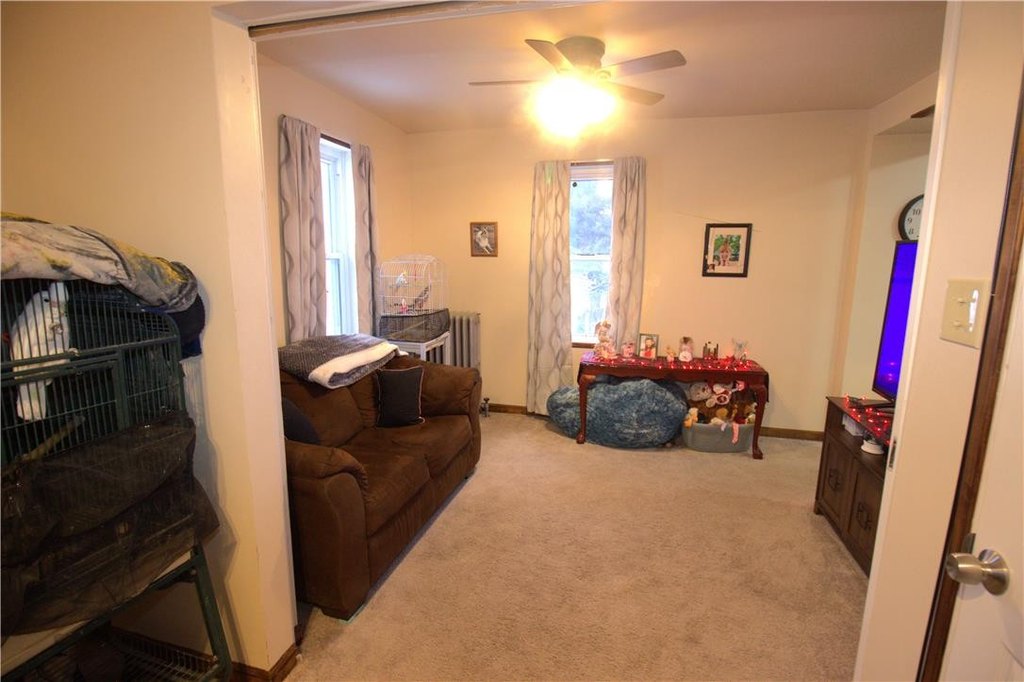Picture 11