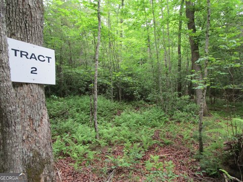 LAND - Ellijay, GA