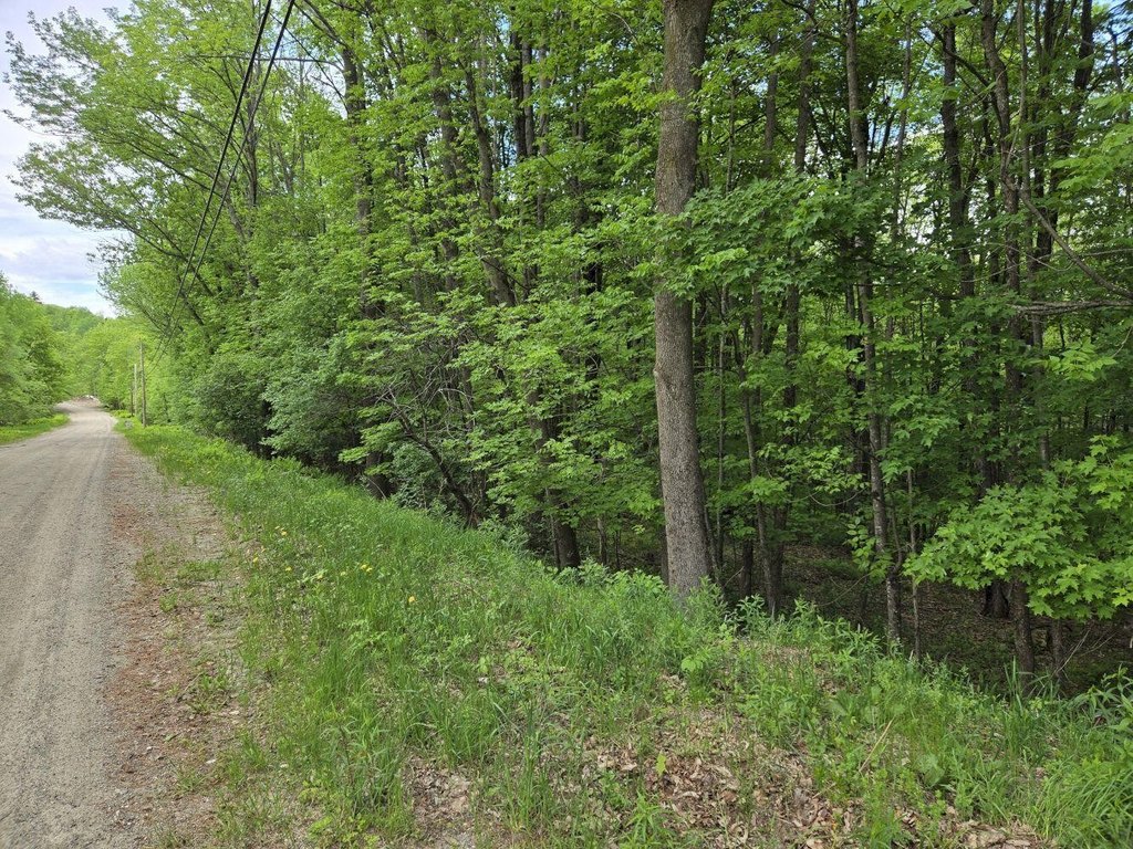 Picture 11