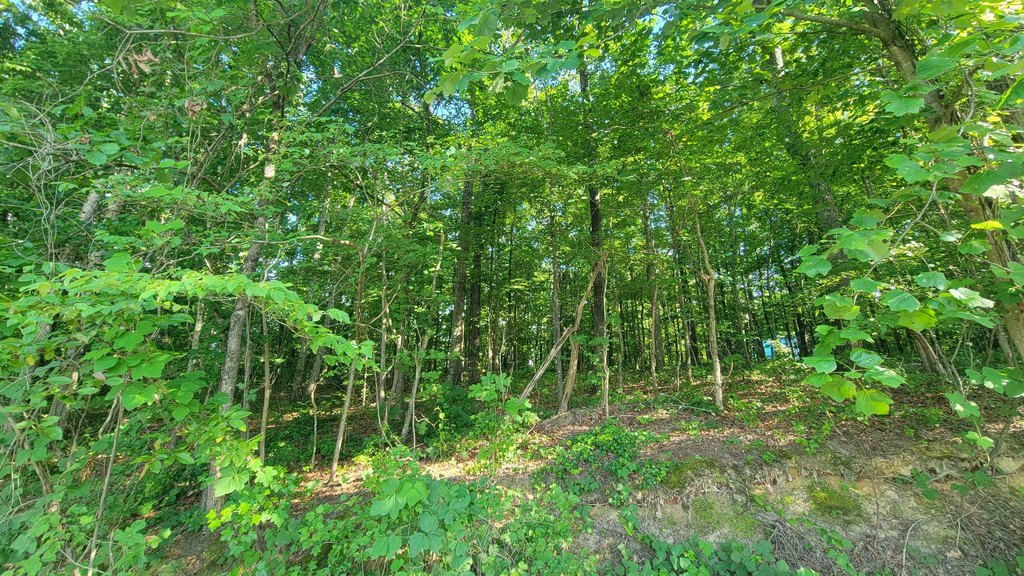 Picture 2