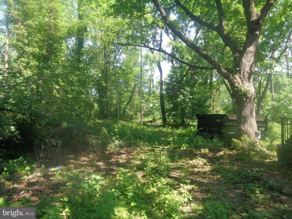 Picture 14