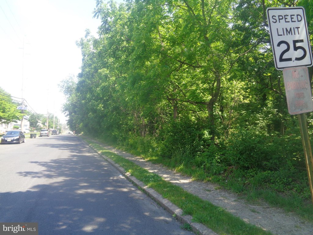 Picture 3