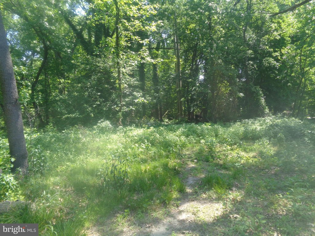 Picture 7