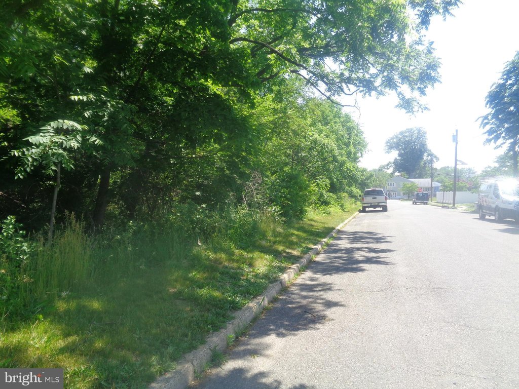 Picture 18