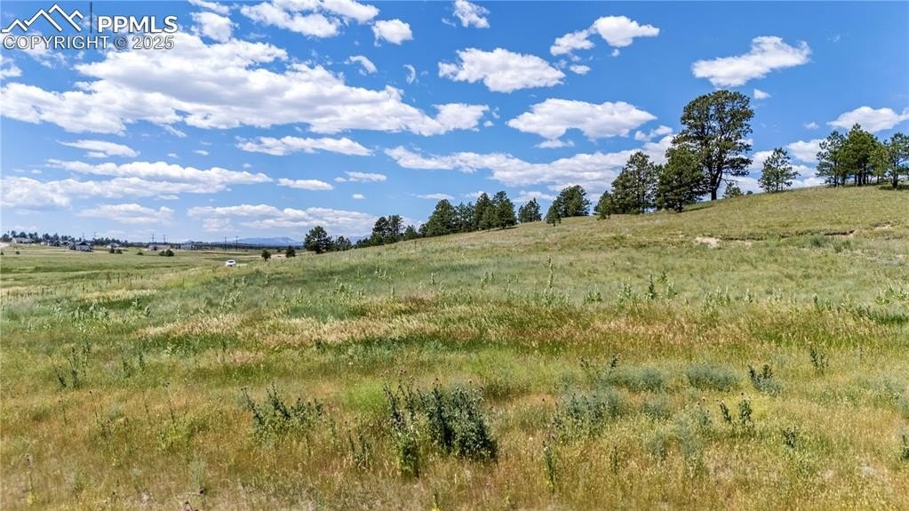 Spacious Land in Winsome Community