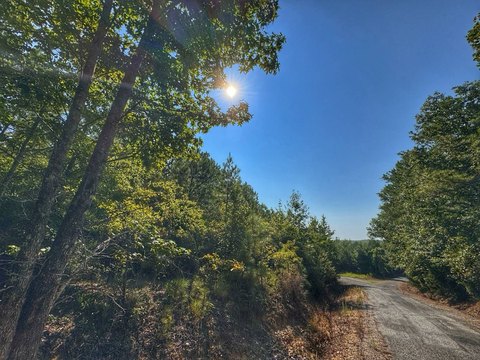 Land, Hamilton, AL