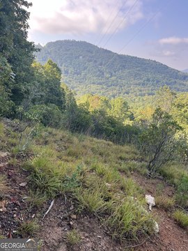 Mountain Land with Views