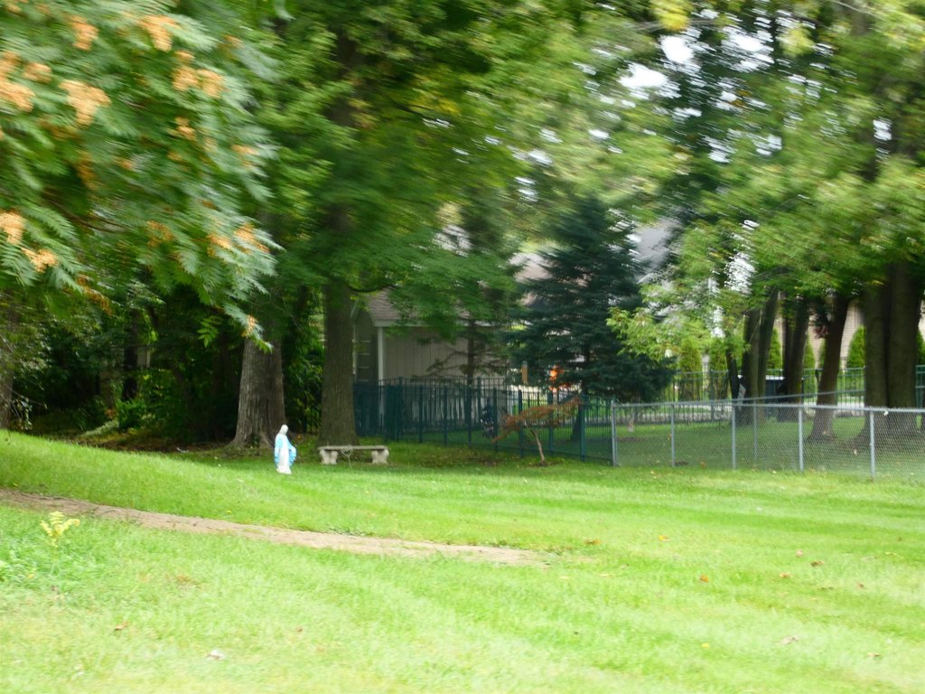 Picture 2