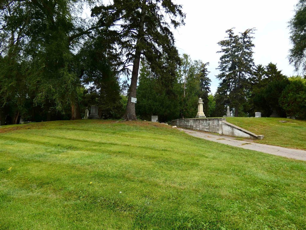 Picture 6