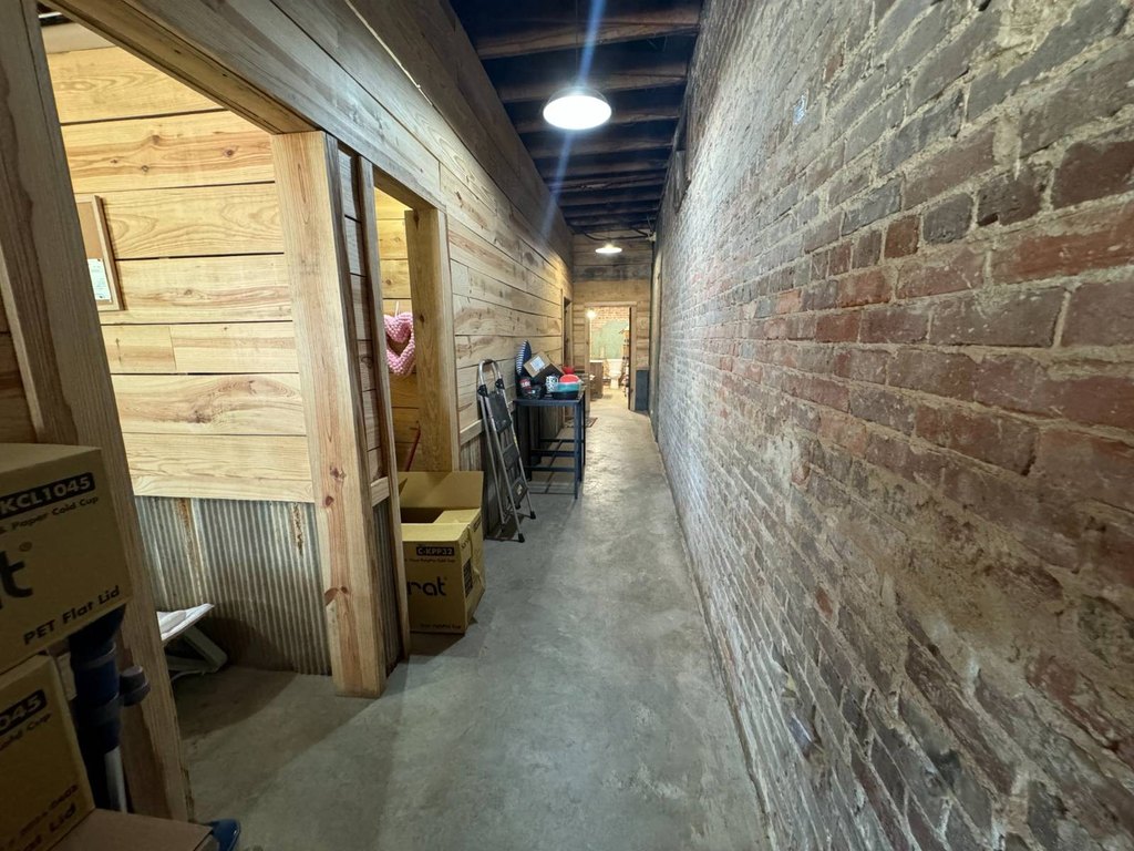 Picture 11