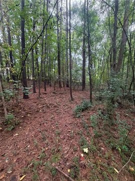 Land, Athens, GA