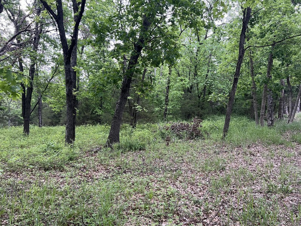 Picture 15