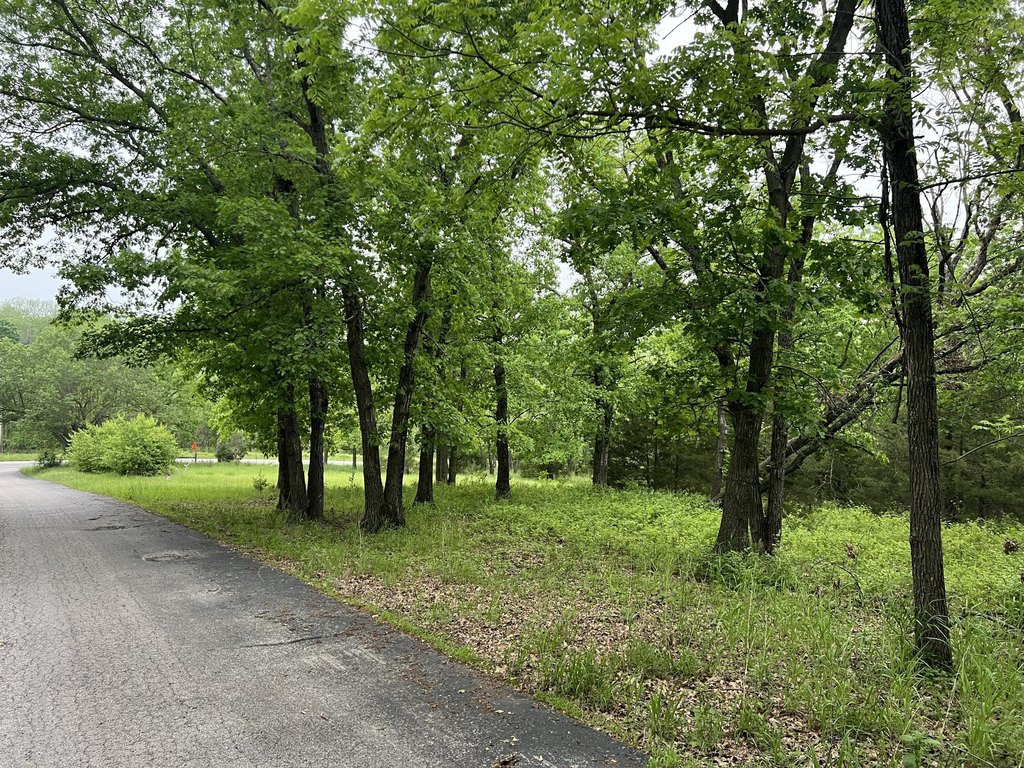 Picture 17