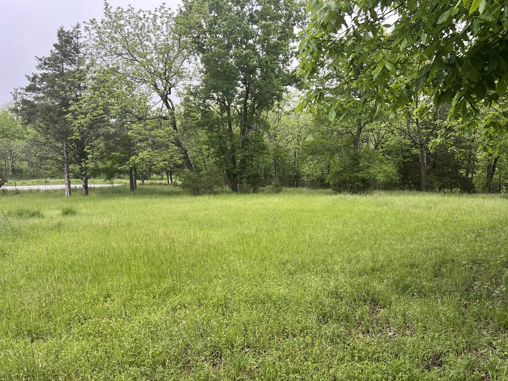 Picture 18