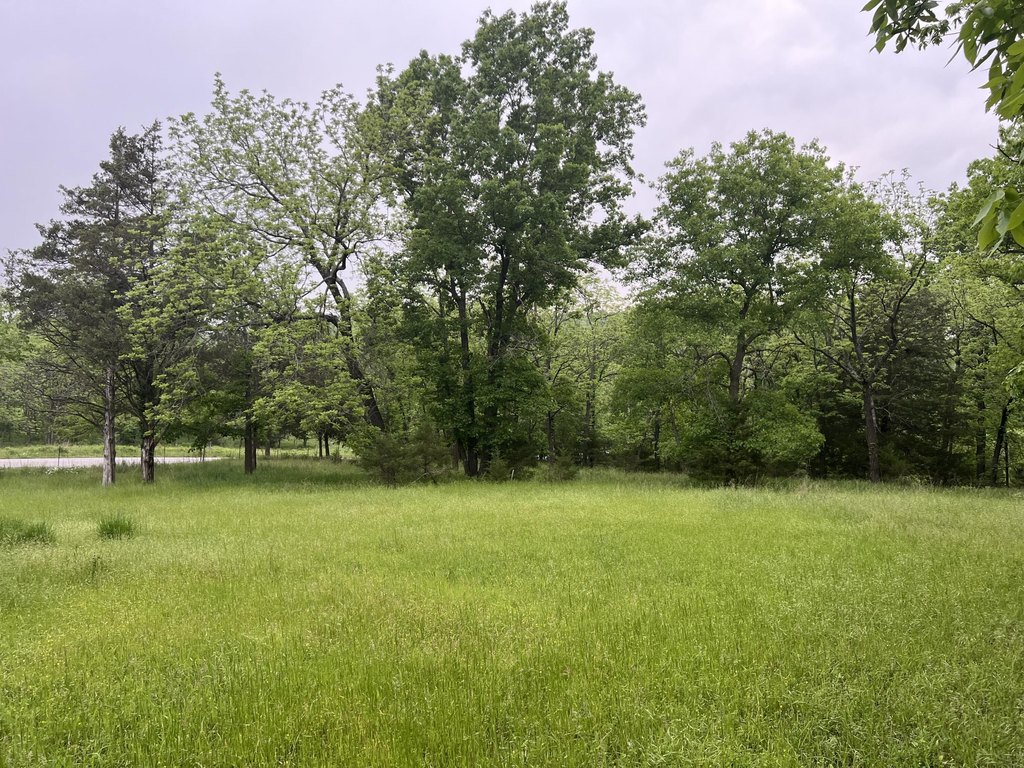 Picture 19