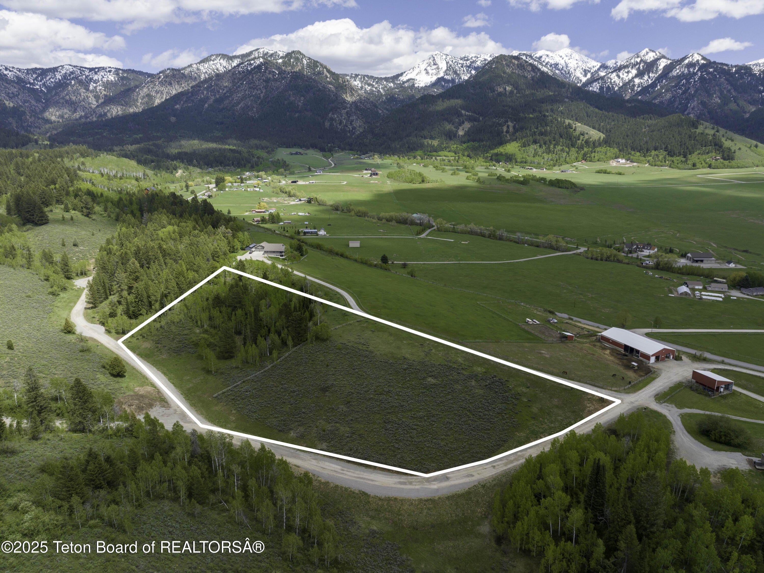 Wyoming Land with Forest Access