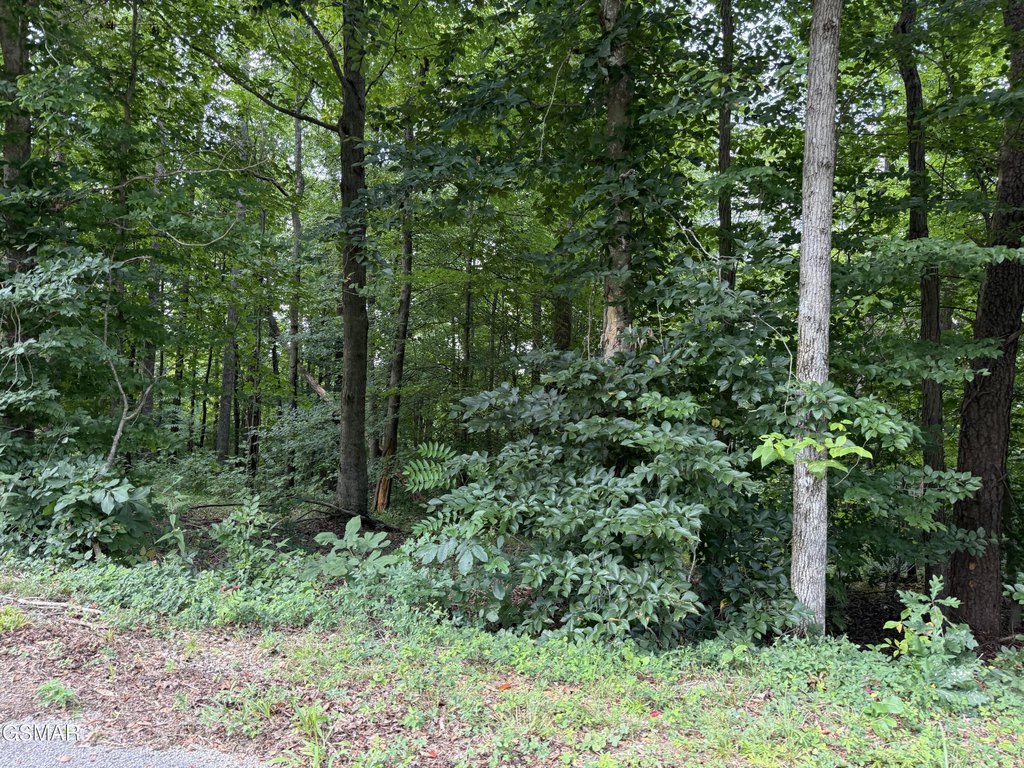Picture 14