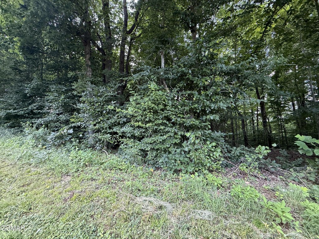 Picture 17