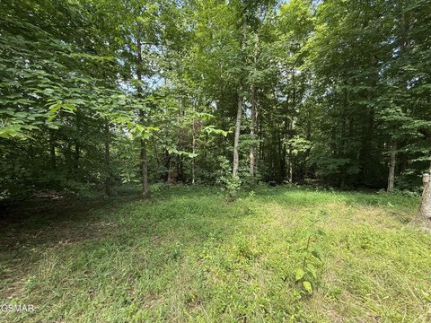 LAND - Whitleyville, TN
