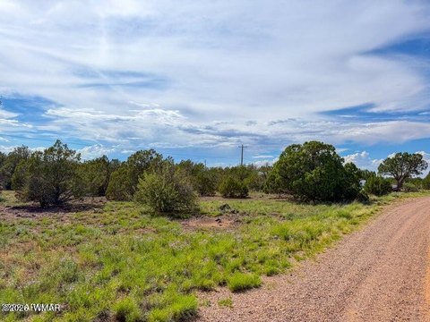 Land, Show Low, AZ